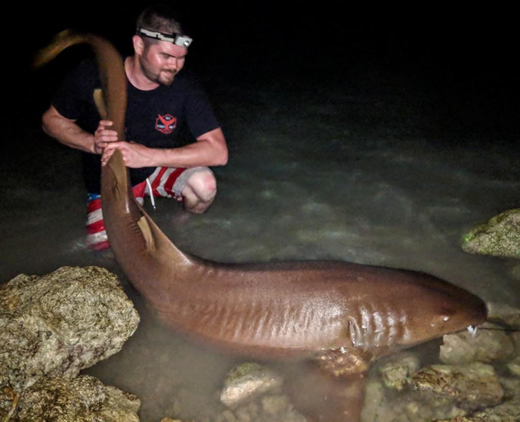 Florida Keys First Sharks!